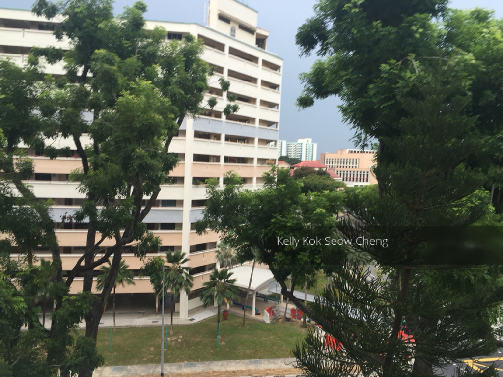 Blk 323 Serangoon Avenue 3 (Serangoon), HDB 3 Rooms #129998222